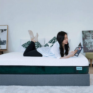 Nosda Cloud Mattress 1