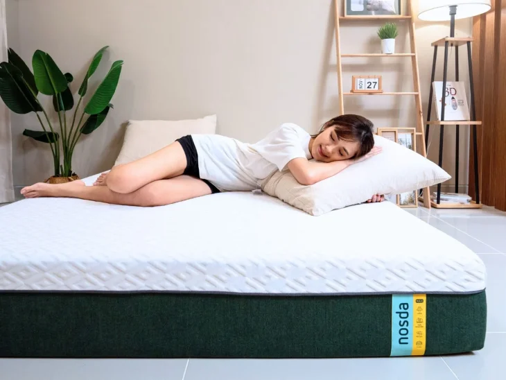 Nosda Cooling Latex Mattress